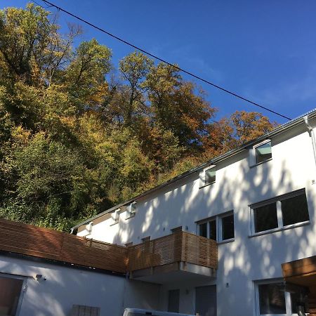 Ferienwohnungen Lamisto Am Waldesrand Neckartenzlingen Εξωτερικό φωτογραφία