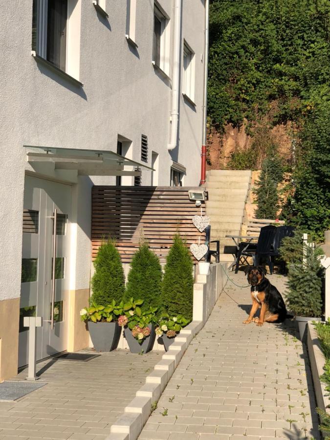 Ferienwohnungen Lamisto Am Waldesrand Neckartenzlingen Εξωτερικό φωτογραφία